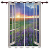 Window Street Flowers Curtain