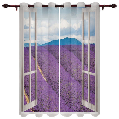 Window Street Flowers Curtain