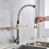 LED Pull Down Dual Spout Kitchen Faucet