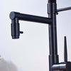 LED Pull Down Dual Spout Kitchen Faucet